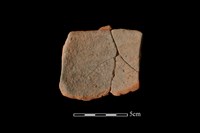 陶片藏品圖，第2張